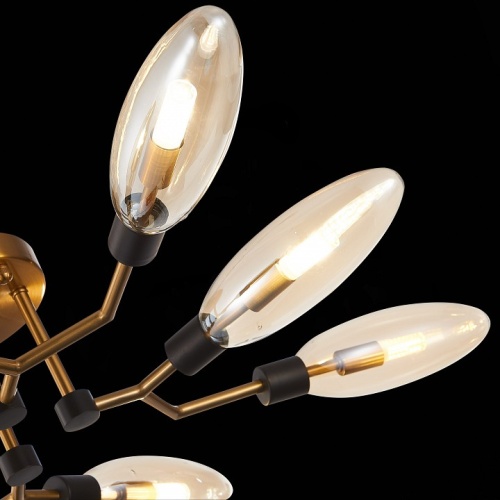 Потолочная люстра ST-Luce Desima SL1174.302.08 в Нижнем Новгороде фото 10