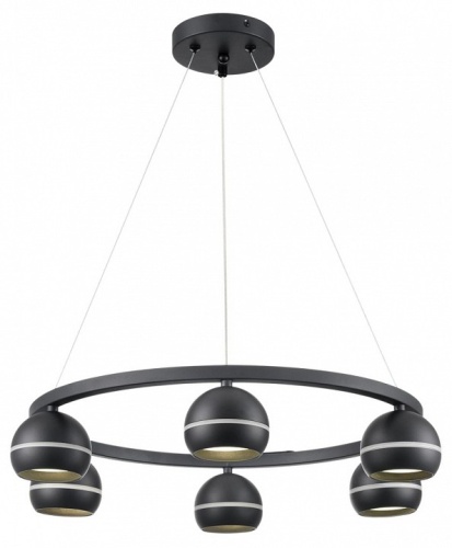 Подвесная люстра Lumion Luazana 8242/6 в Нижнем Новгороде фото 2