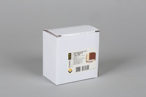 Накладной светильник Omnilux Salentino OML-100929-06 в Нижнем Новгороде фото 4