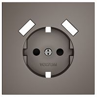 Накладка для розетки с заземлением и со шторками и 2хUSB type A Voltum S70 VLS000914 в Нижнем Новгороде