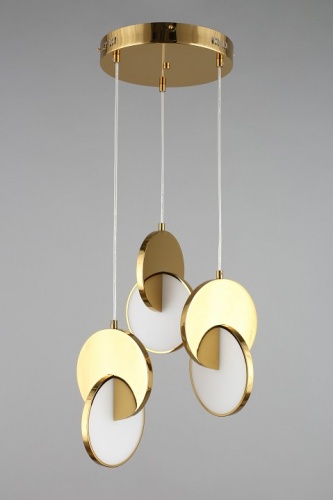 Подвесной светильник Aployt Mila APL.044.16.24 в Нижнем Новгороде фото 7