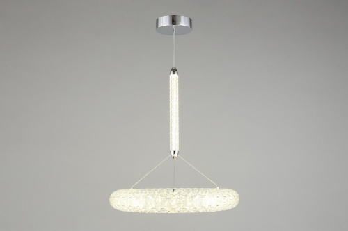 Подвесной светильник Aployt Danuta APL.035.16.25 в Нижнем Новгороде фото 10