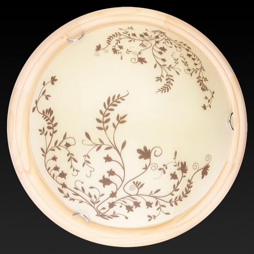 Накладной светильник TopLight Irene TL9630Y-00PN в Нижнем Новгороде фото 2