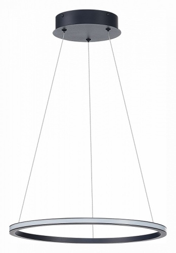 Подвесной светильник ST-Luce ST604 OUT ST604.443.22 в Нижнем Новгороде фото 3