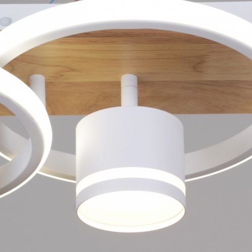 Накладной светильник 29560-0.3-2+2 WH+WOOD в Нижнем Новгороде фото 8