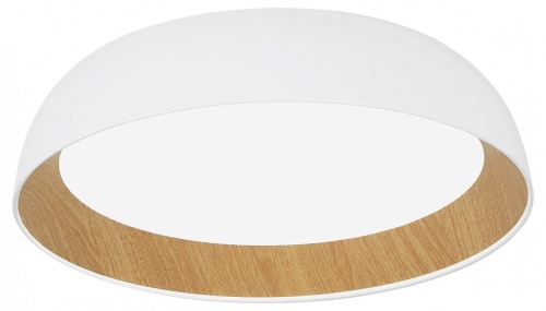 Накладной светильник EVOLUCE MUSE SLE1812-502-01 в Нижнем Новгороде