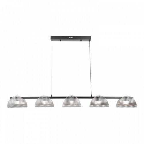 Подвесной светильник Lussole  LSP-7507 в Нижнем Новгороде фото 2