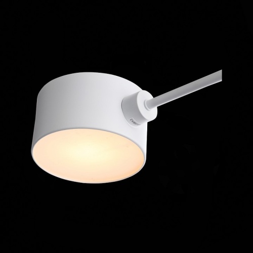 Люстра на штанге EVOLUCE Gimento SLE183502-04 в Нижнем Новгороде фото 11