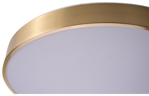 Накладной светильник Zortes Monna ZRS.1209.12 в Нижнем Новгороде фото 3