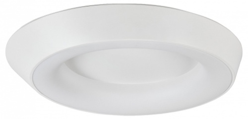 Накладной светильник MyFar Phoebe MR9150-CL в Нижнем Новгороде