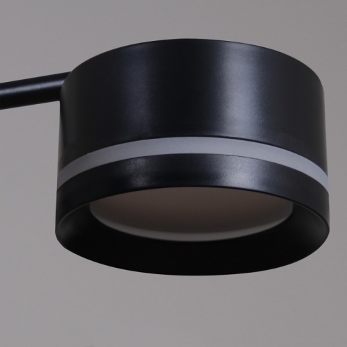 Подвесная люстра  19490-0.4-08 Black в Нижнем Новгороде фото 3