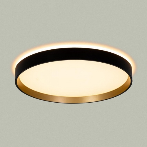 Накладной светильник Citilux ETALON CL750321R в Нижнем Новгороде фото 8