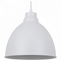 Подвесной светильник Arte Lamp Braccio A2055SP-1WH в Туле