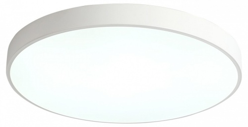 Накладной светильник Zortes Tortty ZRS.02564.96 в Нижнем Новгороде