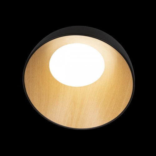 Накладной светильник Loft it Egg 10197/350 Black в Сочи фото 3