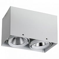 Накладной светильник Favourite Flashled 1986-2U в Нижнем Новгороде