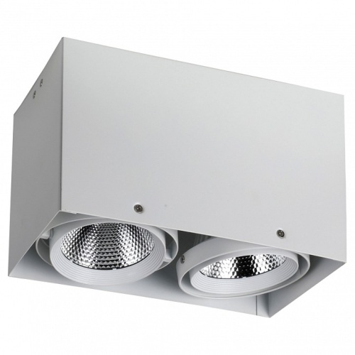 Накладной светильник Favourite Flashled 1986-2U в Нижнем Новгороде