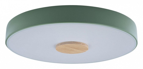 Накладной светильник Loft it Axel 2 10003/24 Green в Котельниче