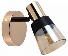 Спот Escada Brandy 684/1A в Нижнем Новгороде