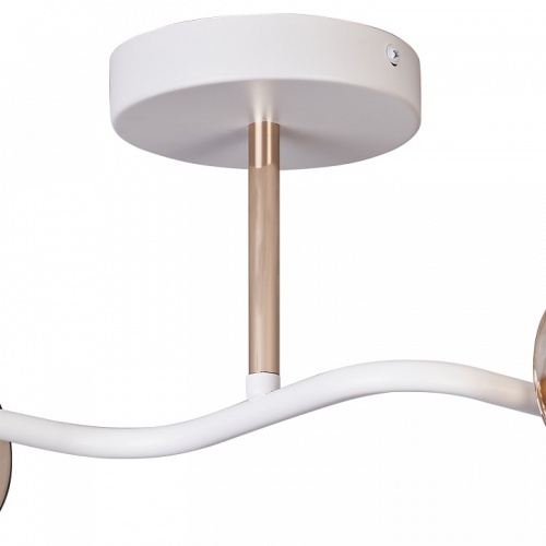 Светильник на штанге ILLUMICO Bice IL8148-2COU-79 WH GD Bice в Нижнем Новгороде фото 3