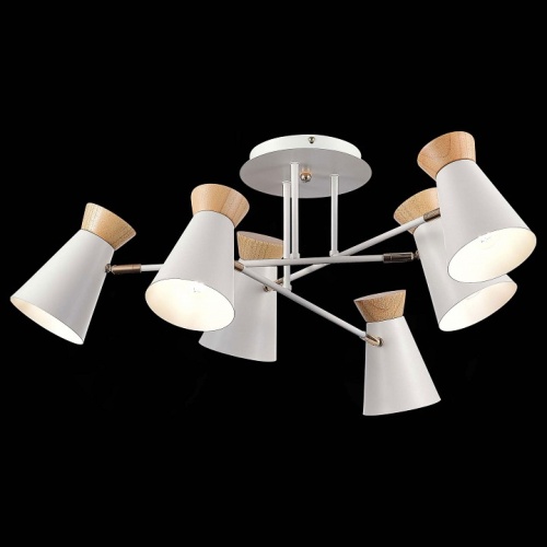 Потолочная люстра EVOLUCE Alfeo SLE1252-502-06 в Нижнем Новгороде фото 3