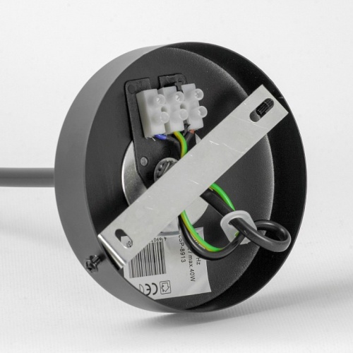 Люстра на штанге Lussole LSP-891 LSP-8913 в Нижнем Новгороде фото 2