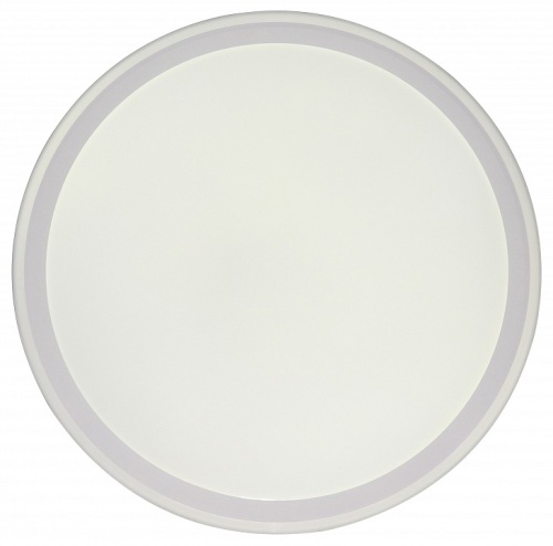 Накладной светильник Zortes Bella ZRS.1200.09 в Нижнем Новгороде фото 9