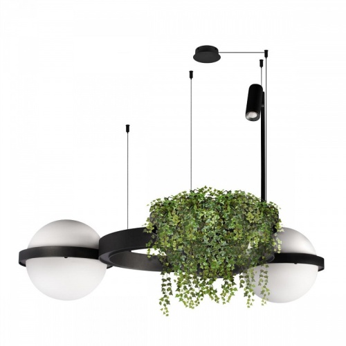 Подвесной светильник Loft it Jardin 10121/2 в Нижнем Новгороде фото 7