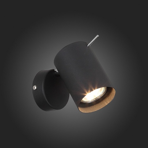 Спот ST-Luce Fanale SL597.401.01 в Нижнем Новгороде фото 3