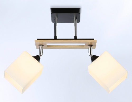 Светильник на штанге Ambrella Light TR TR9503 в Нижнем Новгороде фото 4