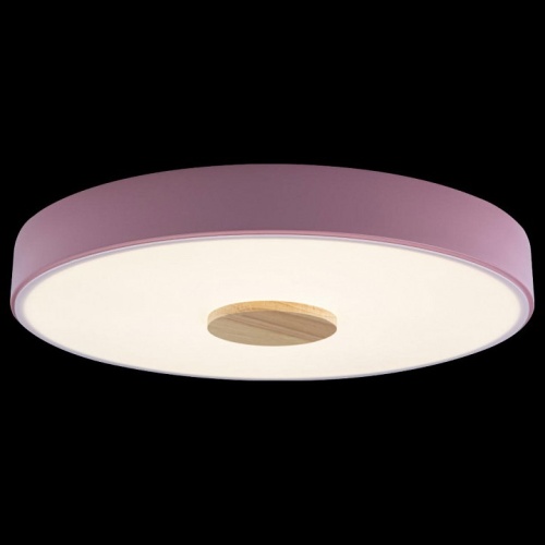 Накладной светильник Loft it Axel 2 10003/24 Pink в Нижнем Новгороде фото 3