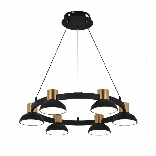 Подвесная люстра Indigo Traforo 11059/6P Black в Нижнем Новгороде фото 6