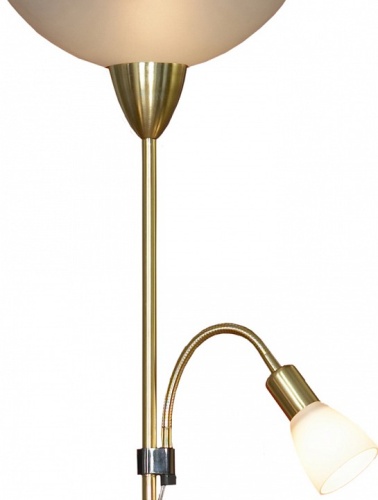 Торшер с подсветкой LGO Douglas GRLSP-0018 в Нижнем Новгороде фото 9