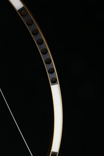 Подвесной светильник Aployt Noella APL.051.13.43 в Белокурихе фото 5