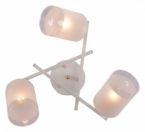 Люстра на штанге Rivoli Tammy Б0059258 в Нижнем Новгороде фото 5