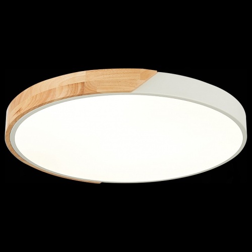 Накладной светильник EVOLUCE Festa SLE200952-01 в Нижнем Новгороде фото 7