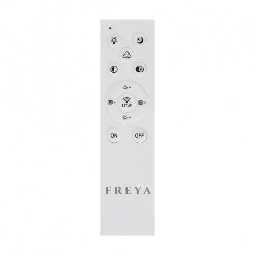 Накладной светильник Freya  FR10031CL-L98W в Нижнем Новгороде фото 3