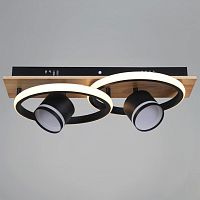 Накладной светильник 29560-0.3-2+2 BK+WOOD в Нижнем Новгороде