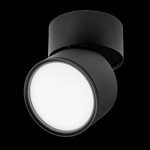 Накладной светильник Lightstar Acuto 215887 в Нижнем Новгороде фото 2