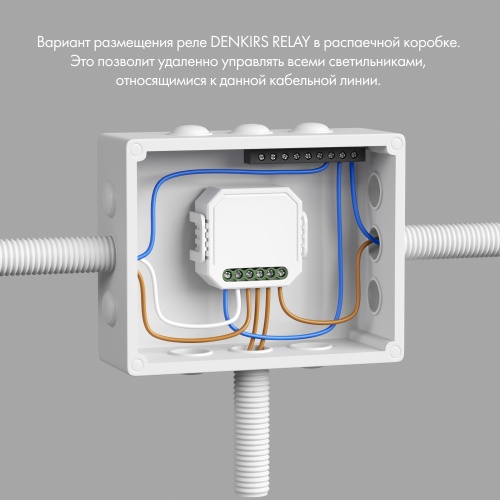 RL1001-SM Одноканальное Wi-Fi реле-выключатель 1 x 2300 Вт / 250 Вт для LED в Гдове фото 3