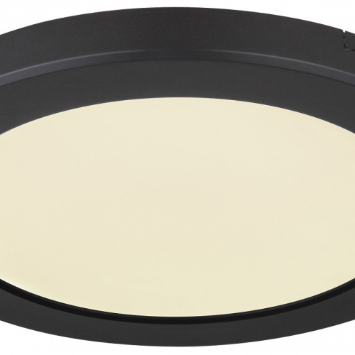 Накладной светильник Globo Lasse 12379-18B в Нижнем Новгороде фото 2