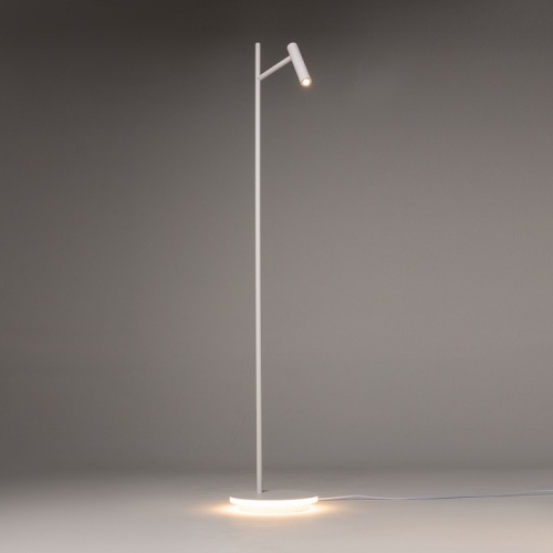 Торшер Maytoni Estudo Z010FL-L8W3K в Нижнем Новгороде фото 10