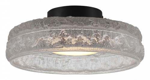 Накладной светильник ST-Luce ANTIKE SL6143.402.01 в Нижнем Новгороде фото 5