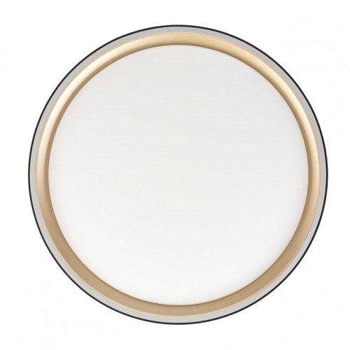 Накладной светильник Citilux BOSS CL751251G в Нижнем Новгороде фото 8