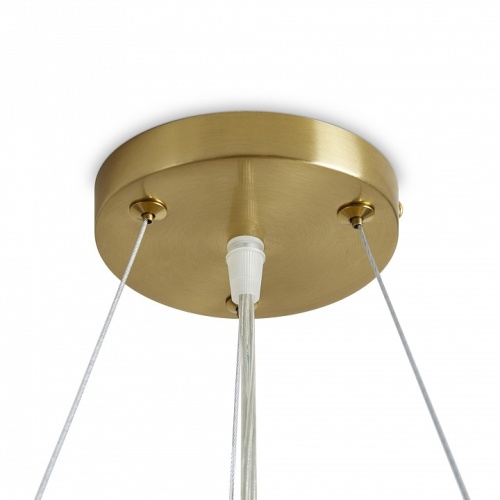 Подвесной светильник Freya Cozy FR6170PL-L52BS в Нижнем Новгороде фото 4