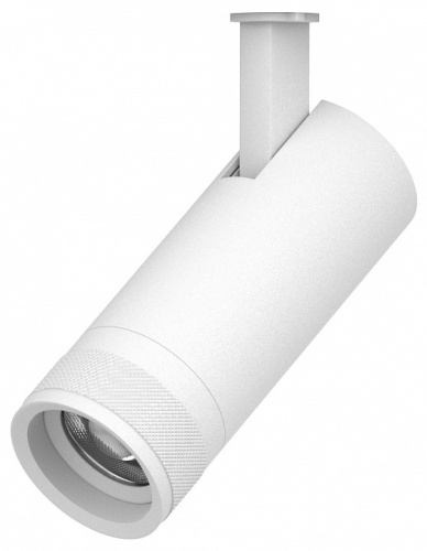 Светильник на штанге Lightstar Canno Pro 304126 в Нижнем Новгороде