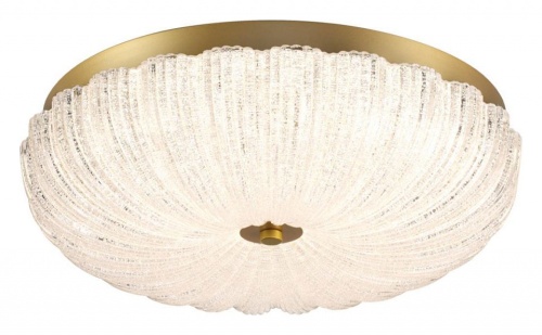 Накладной светильник Sonex Tesoro 7719/48L в Нижнем Новгороде фото 9