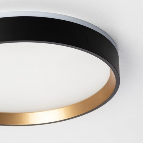 Накладной светильник Citilux Etalon CL750241 в Нижнем Новгороде фото 5