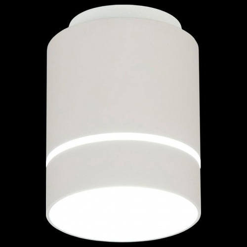 Накладной светильник Citilux Борн CL745010N в Нижнем Новгороде фото 8