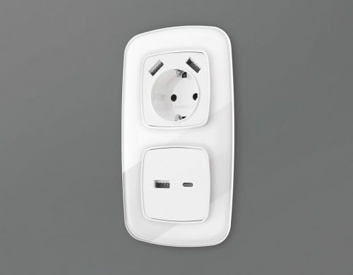 Накладка для розетки type A и C Ambrella Volt OMEGA OP1110 в Нижнем Новгороде фото 2